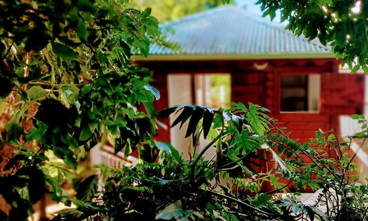 Gite Mamour - Charmant Petit Bungalow A Decouvrir Baillif Kültér fotó
